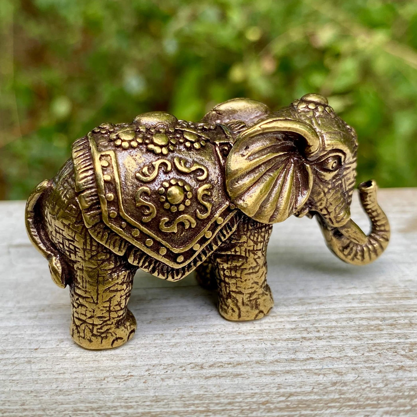 Indian Elephant