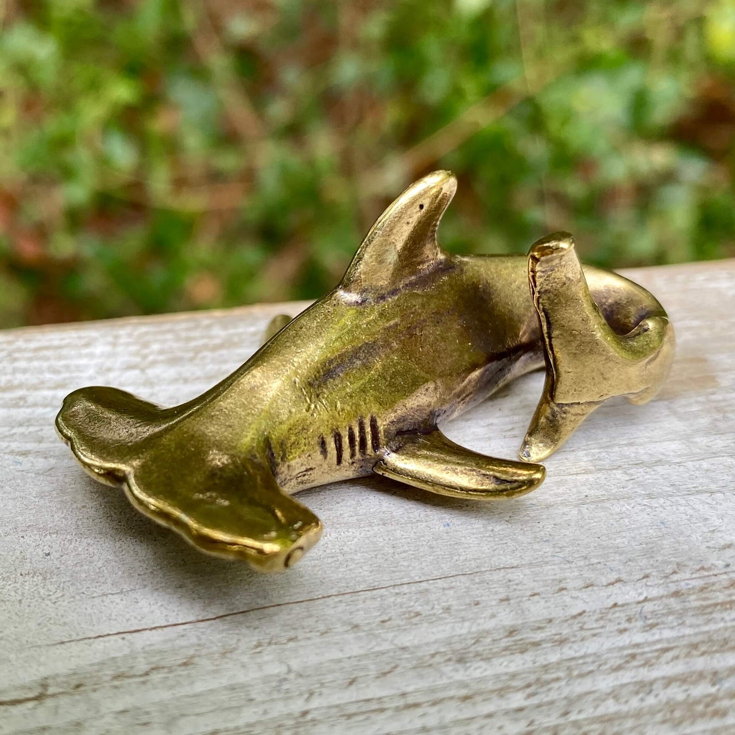 Hammer Head Shark