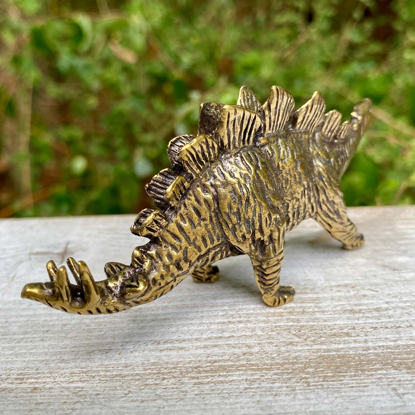 Stegosaurus Dinosaur