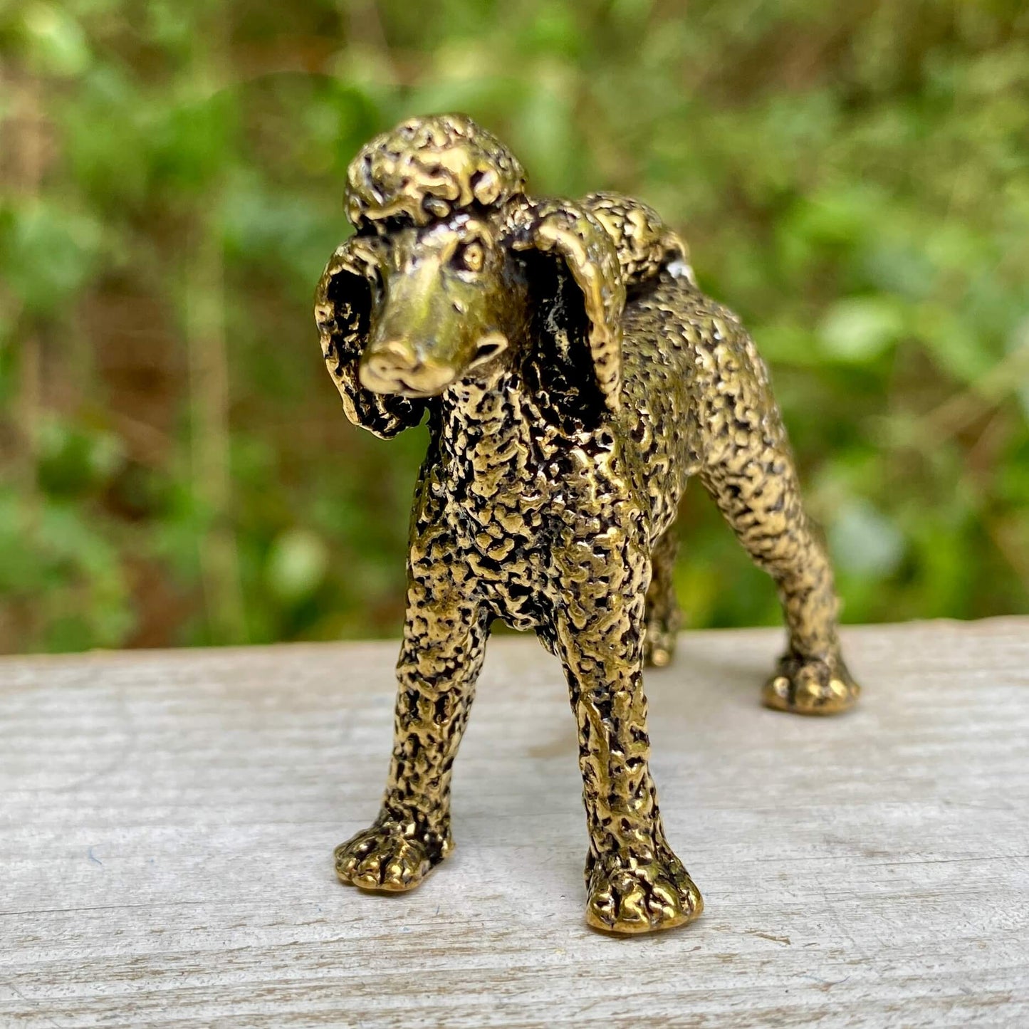 Poodle Dog