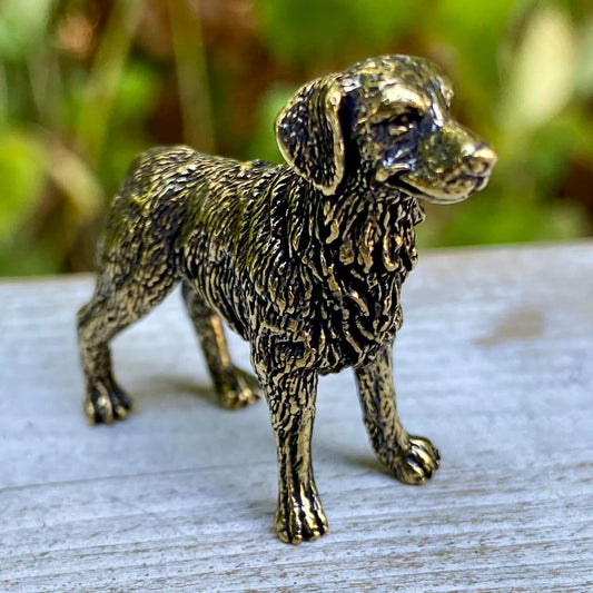 Brass Labrador Retriever