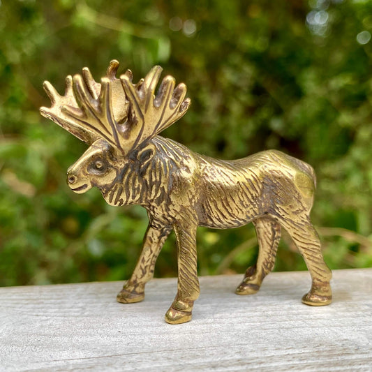 Moose
