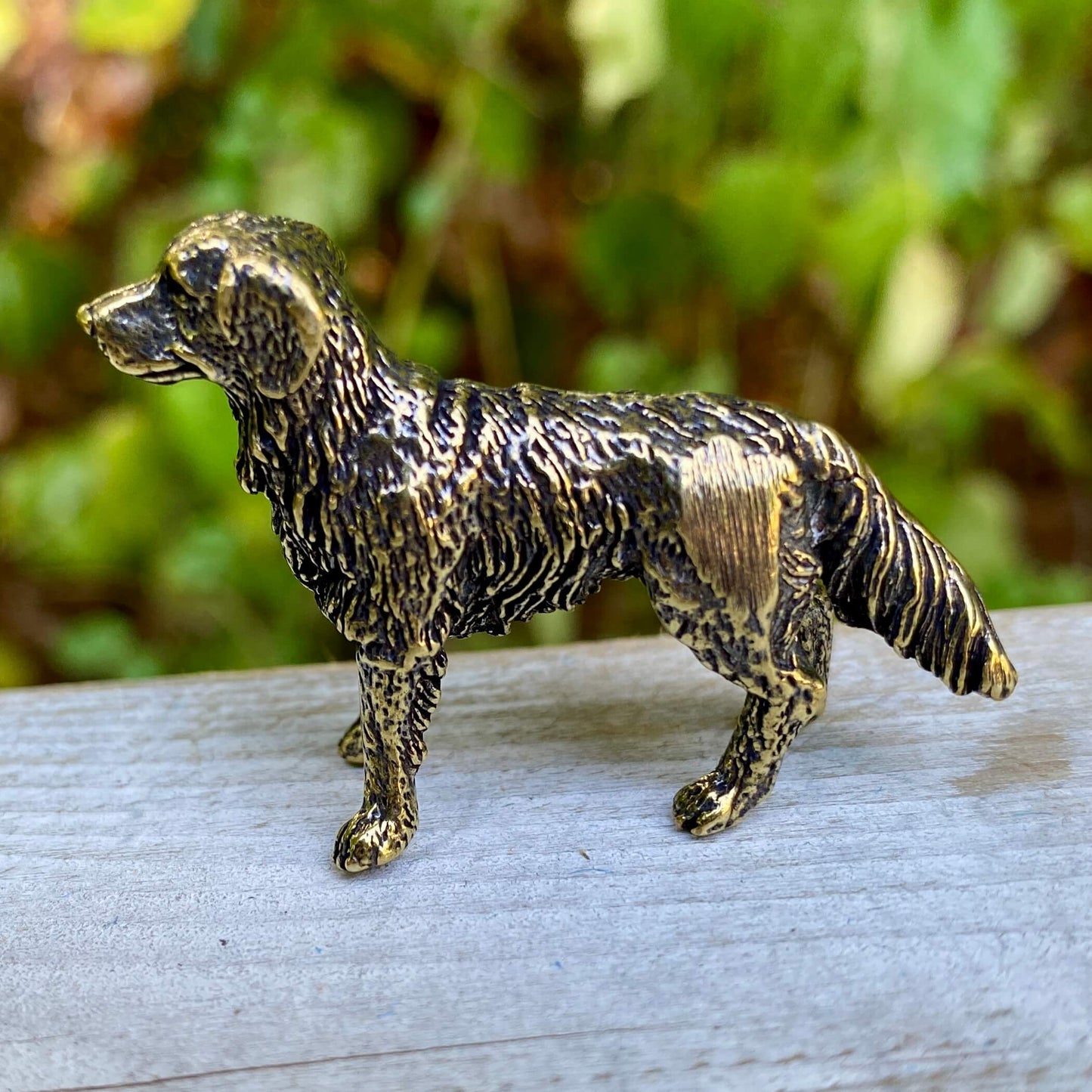 Brass Labrador Retriever