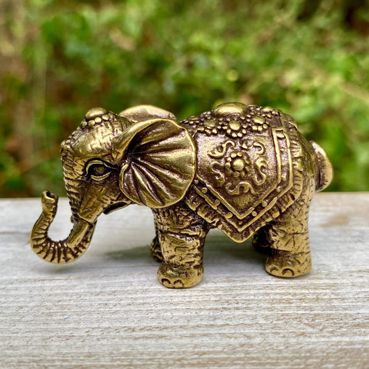 Indian Elephant