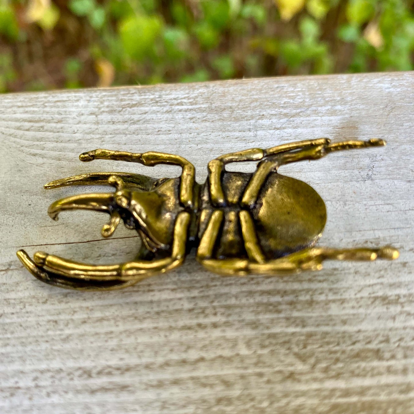 Brass Trypoxylus Horned Rhino Beetle
