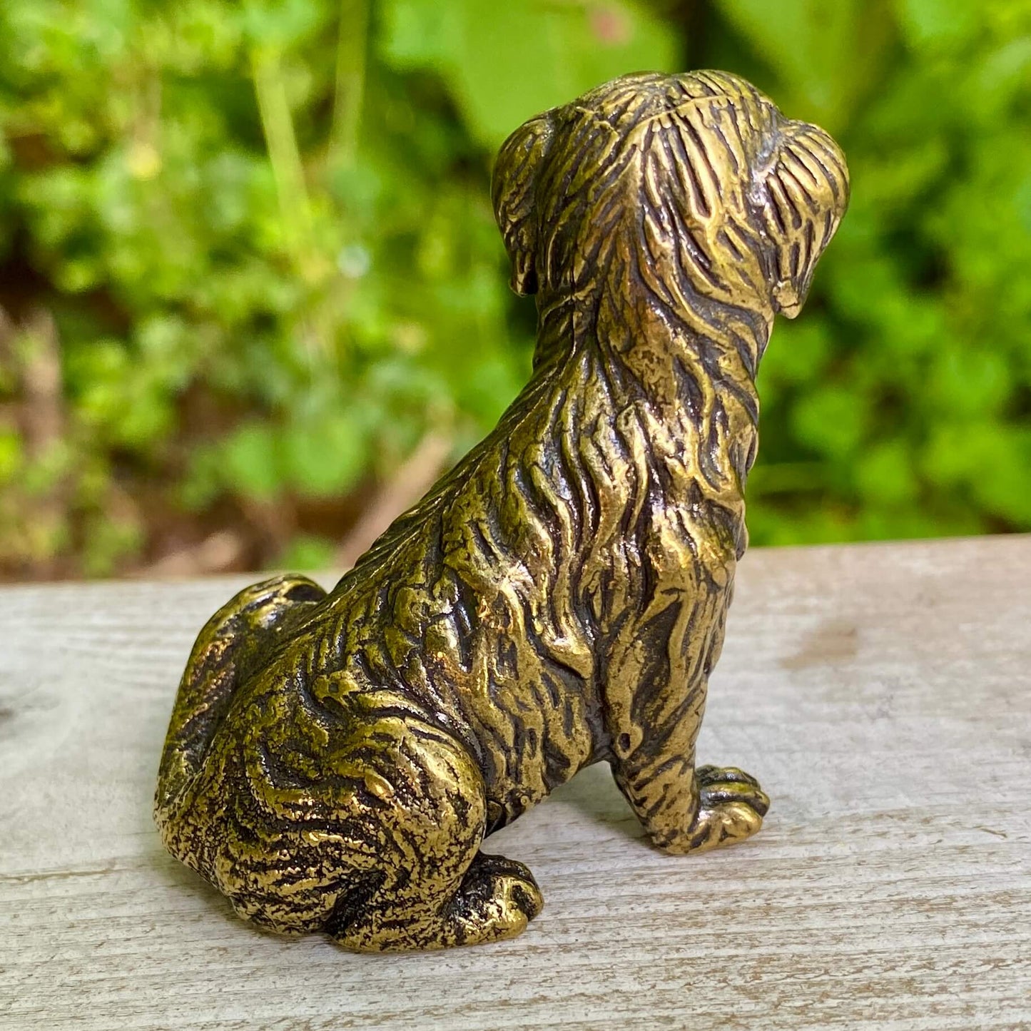 Golden Retriever Dog