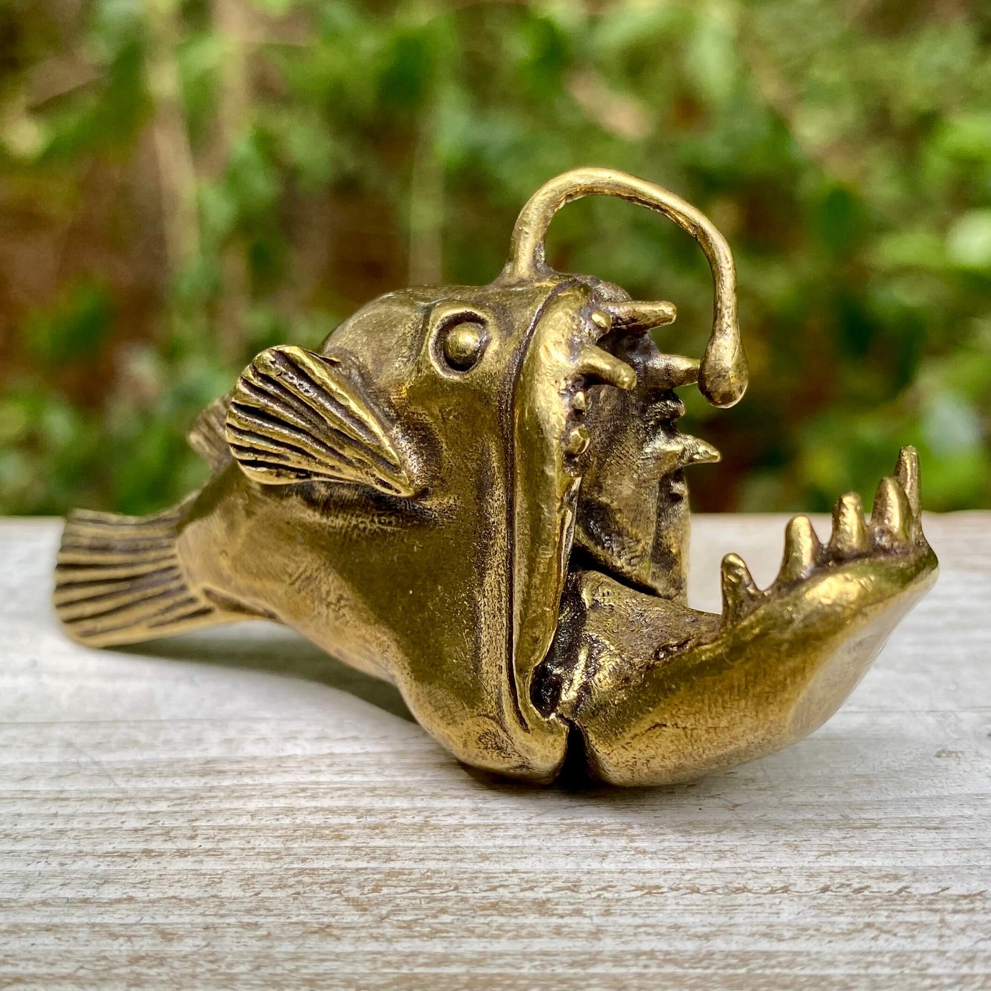 Anglerfish Deep Sea