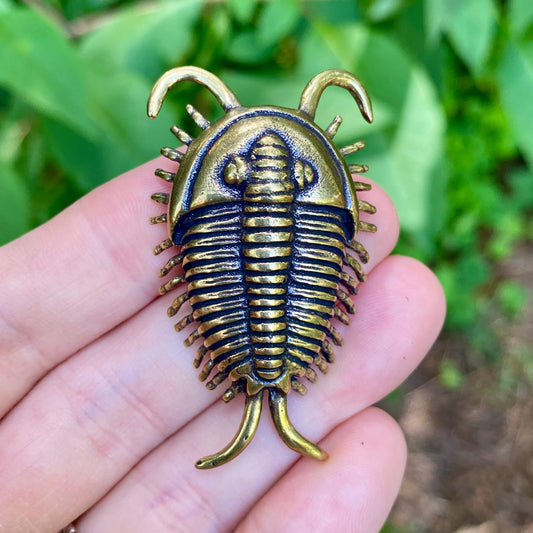 Handmade brass trilobite figurine with detailed fossil texture. Ideal for paleontology decor, science gifts, or natural history displays.