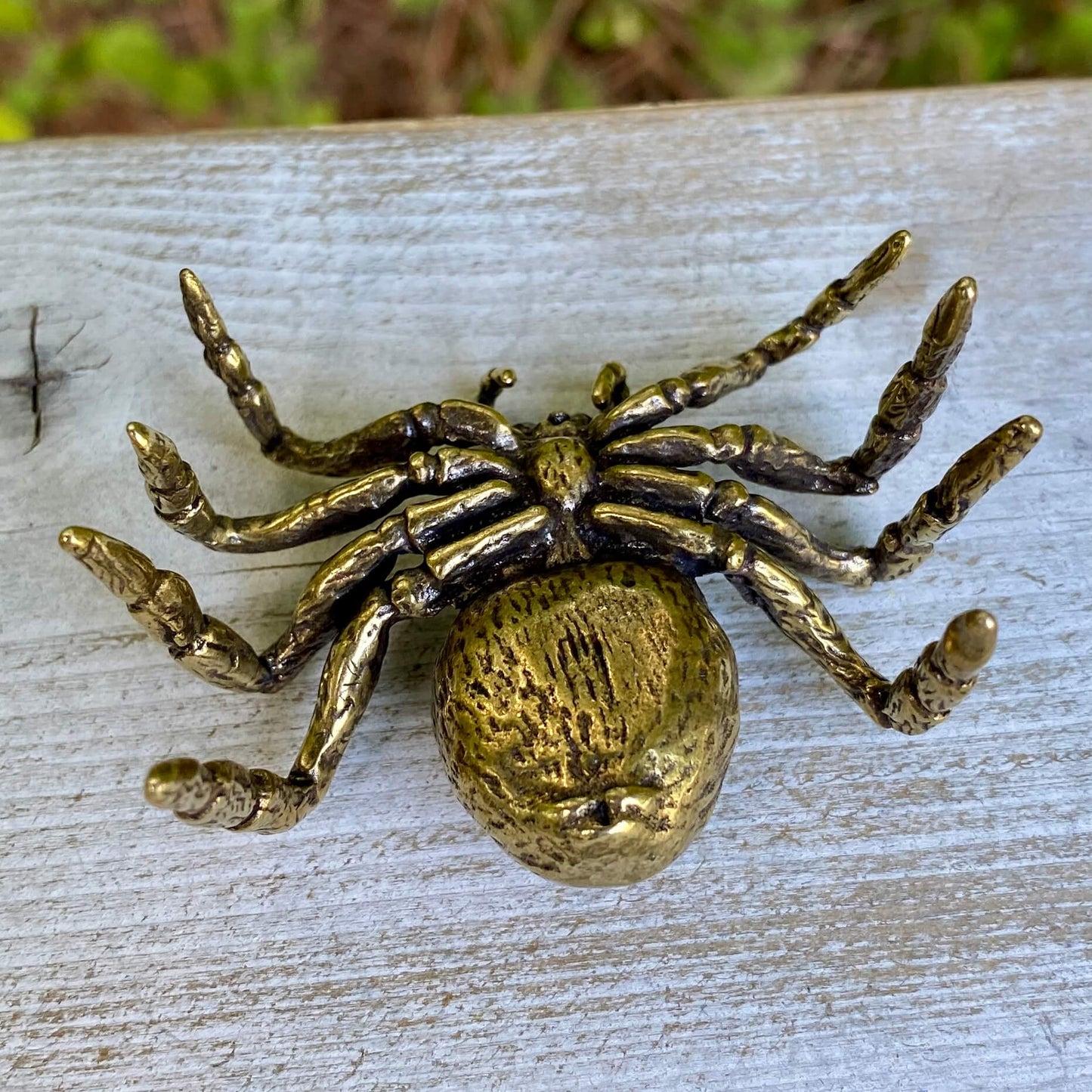 Tarantula
