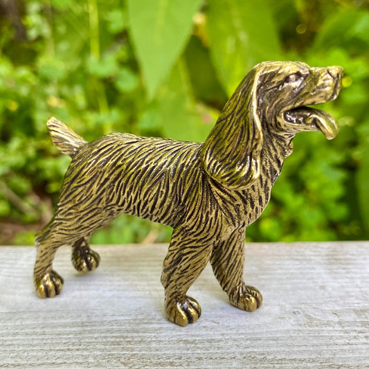 Cocker Spaniel Dog