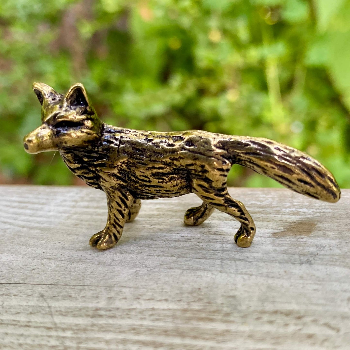 Fox