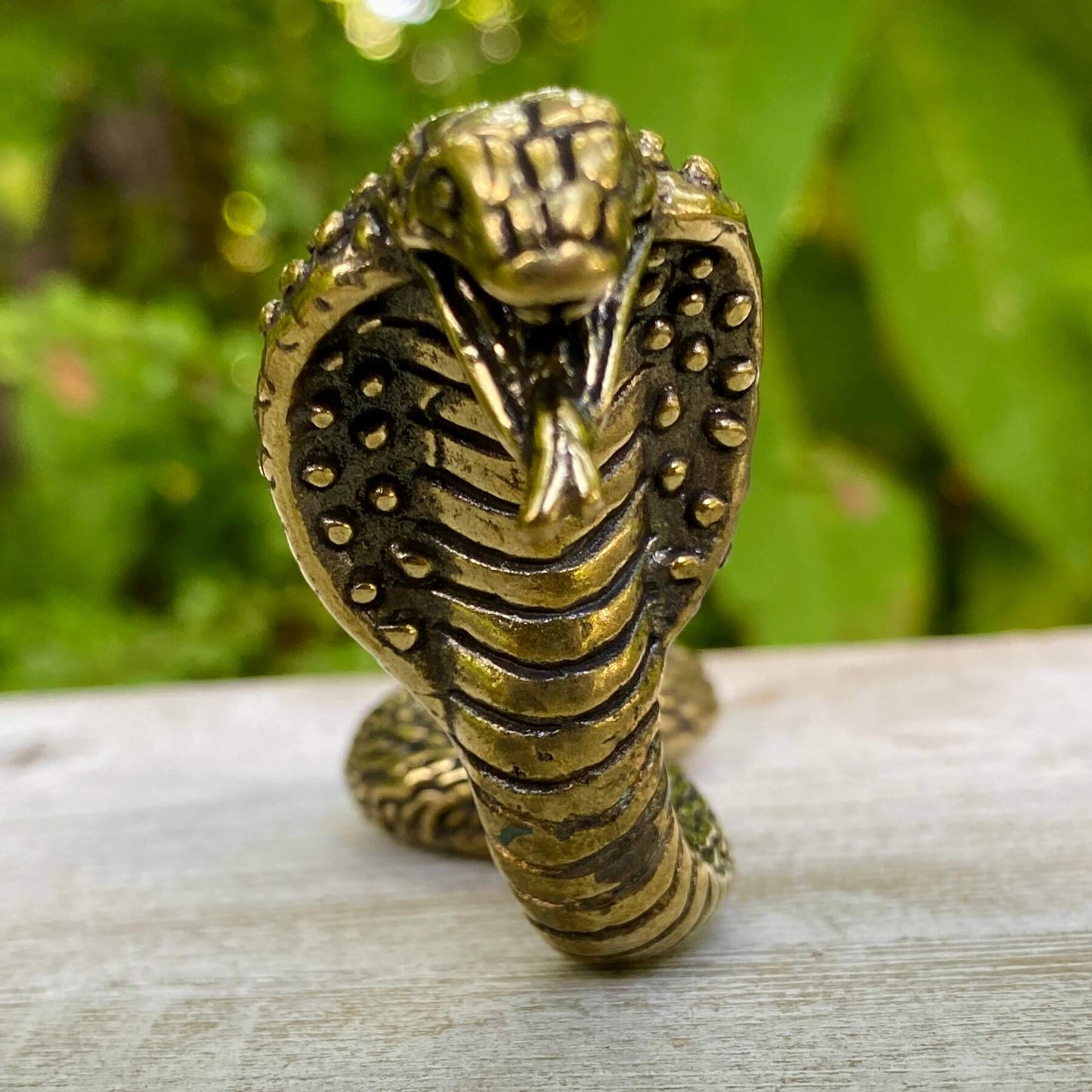 Cobra Snake - Symbol of Transformation, Power & Protection