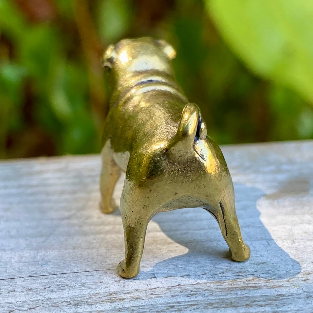 Pug