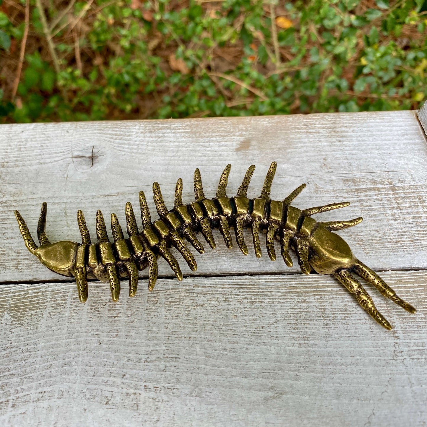 Centipede
