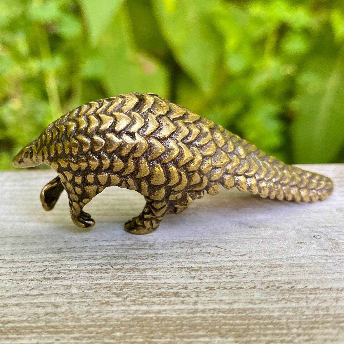 Pangolin