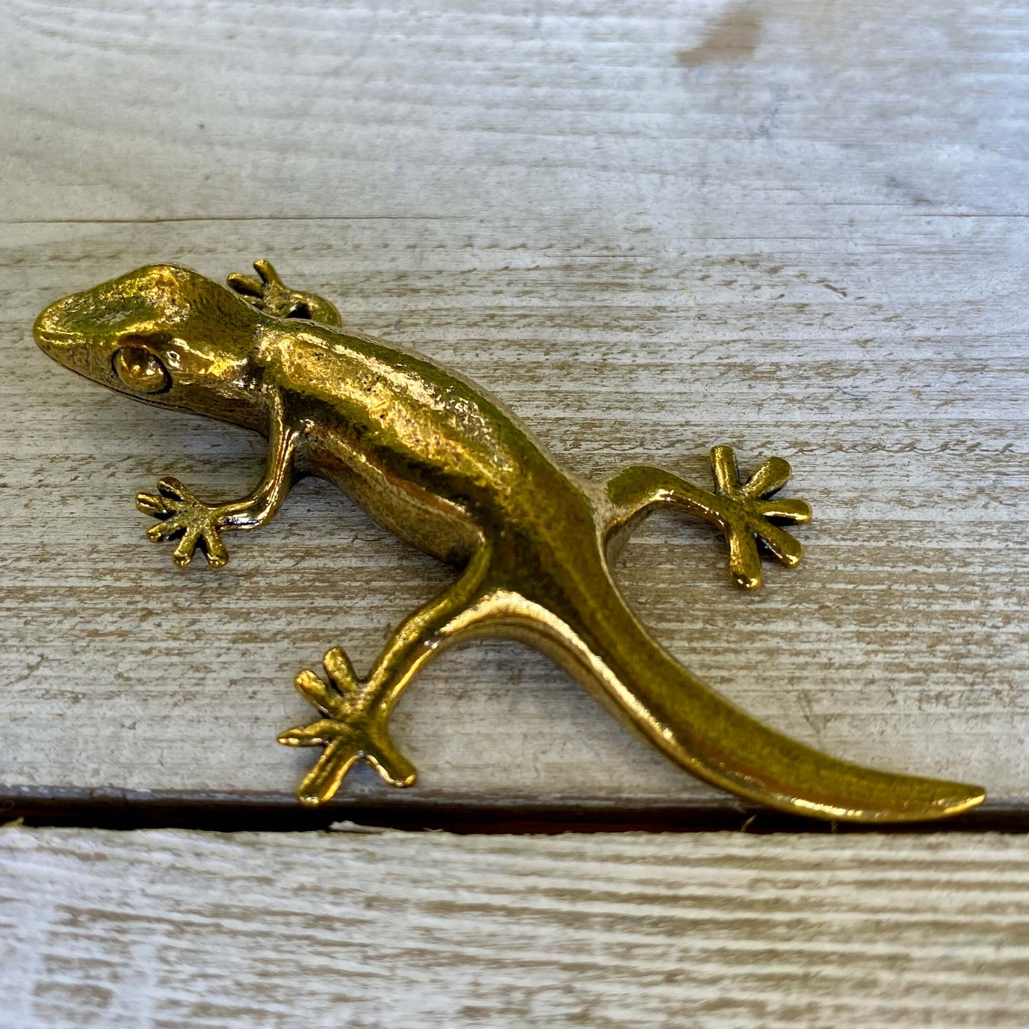 Gecko