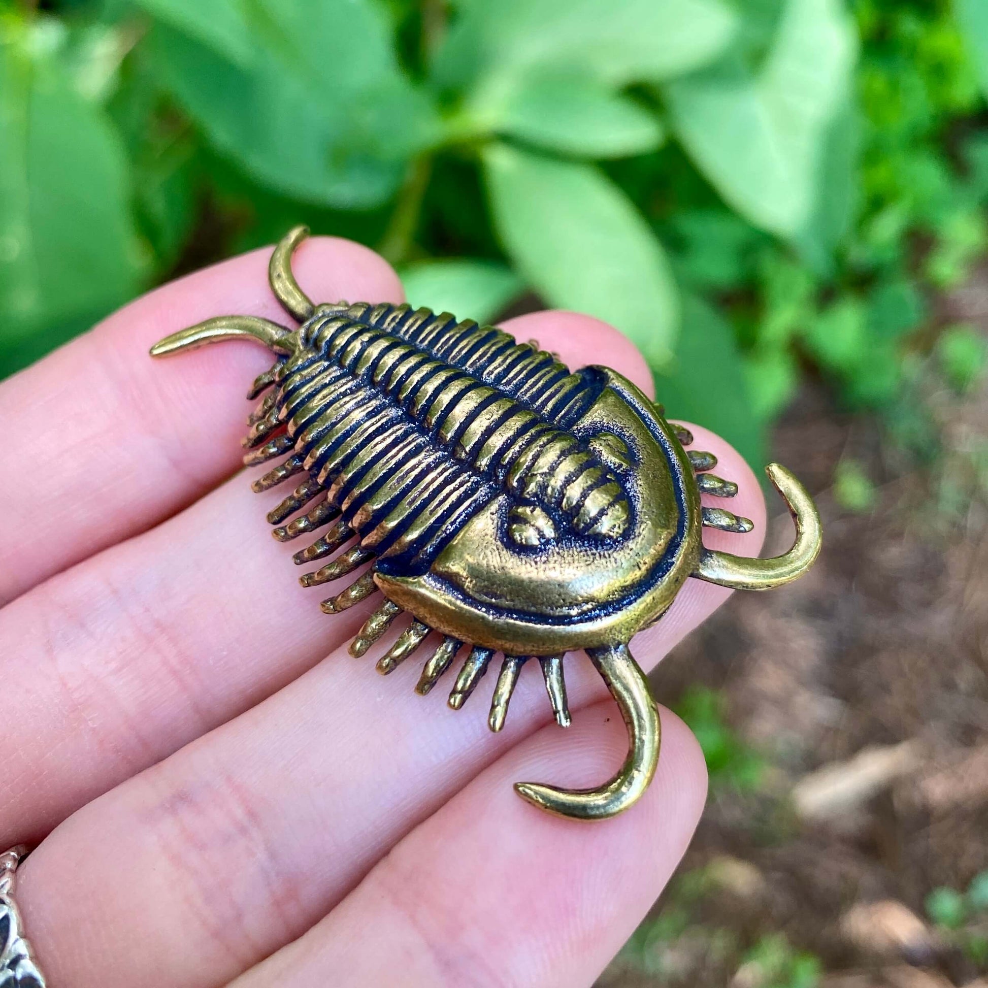 Handmade solid brass trilobite sculpture inspired by ancient fossils. A unique piece for collectors and lovers of natural history.