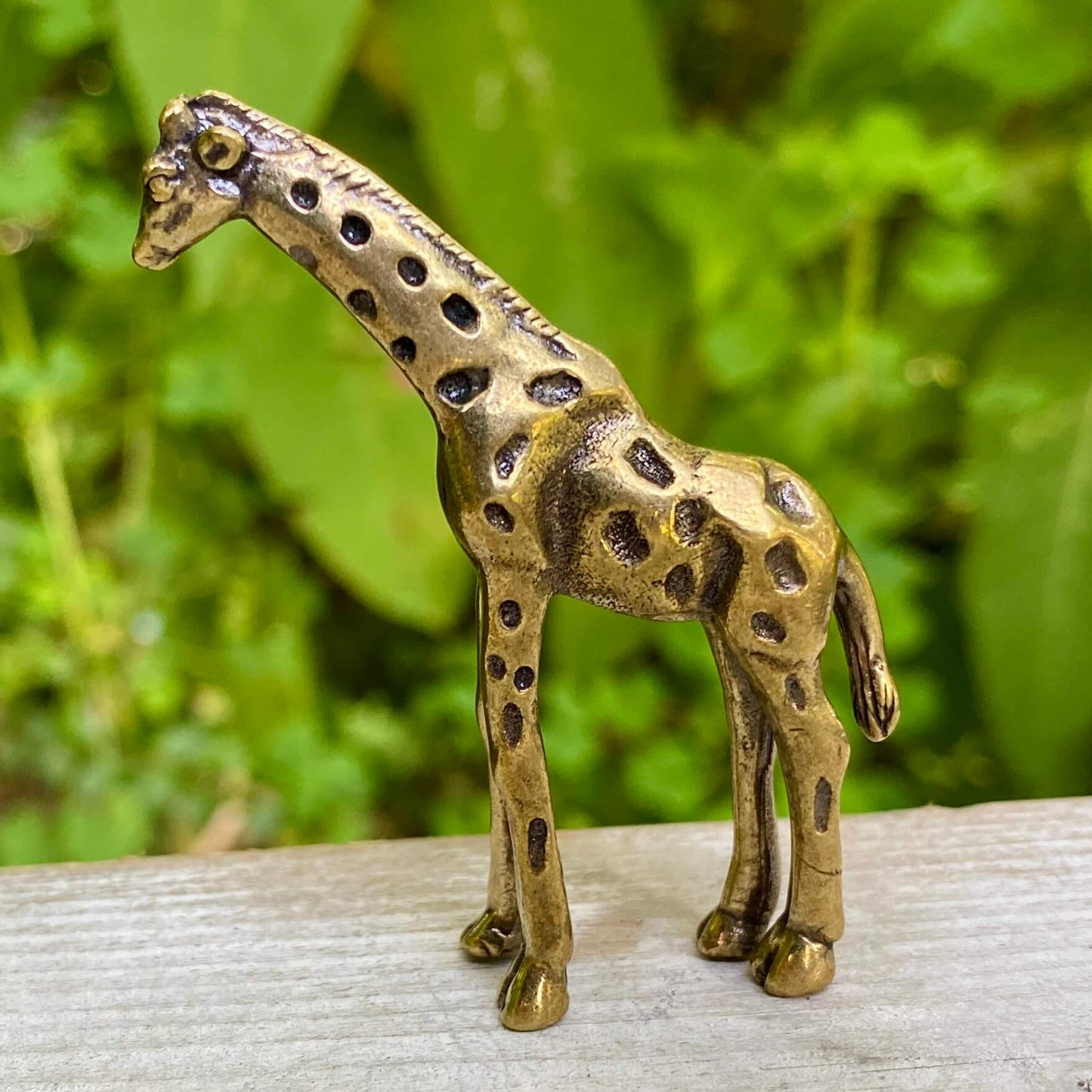 Giraffe - Symbol of Intuition & Power