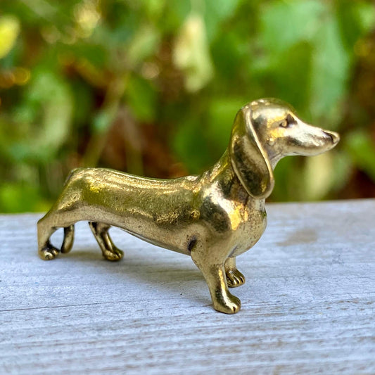 Dachshund Dog