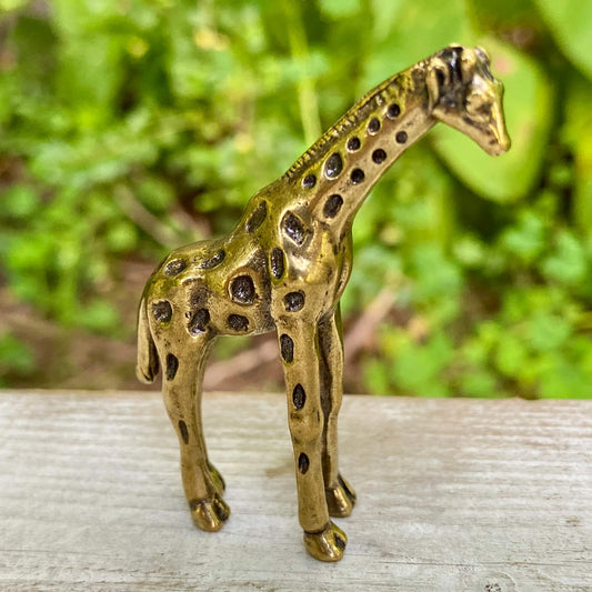Giraffe - Symbol of Intuition & Power