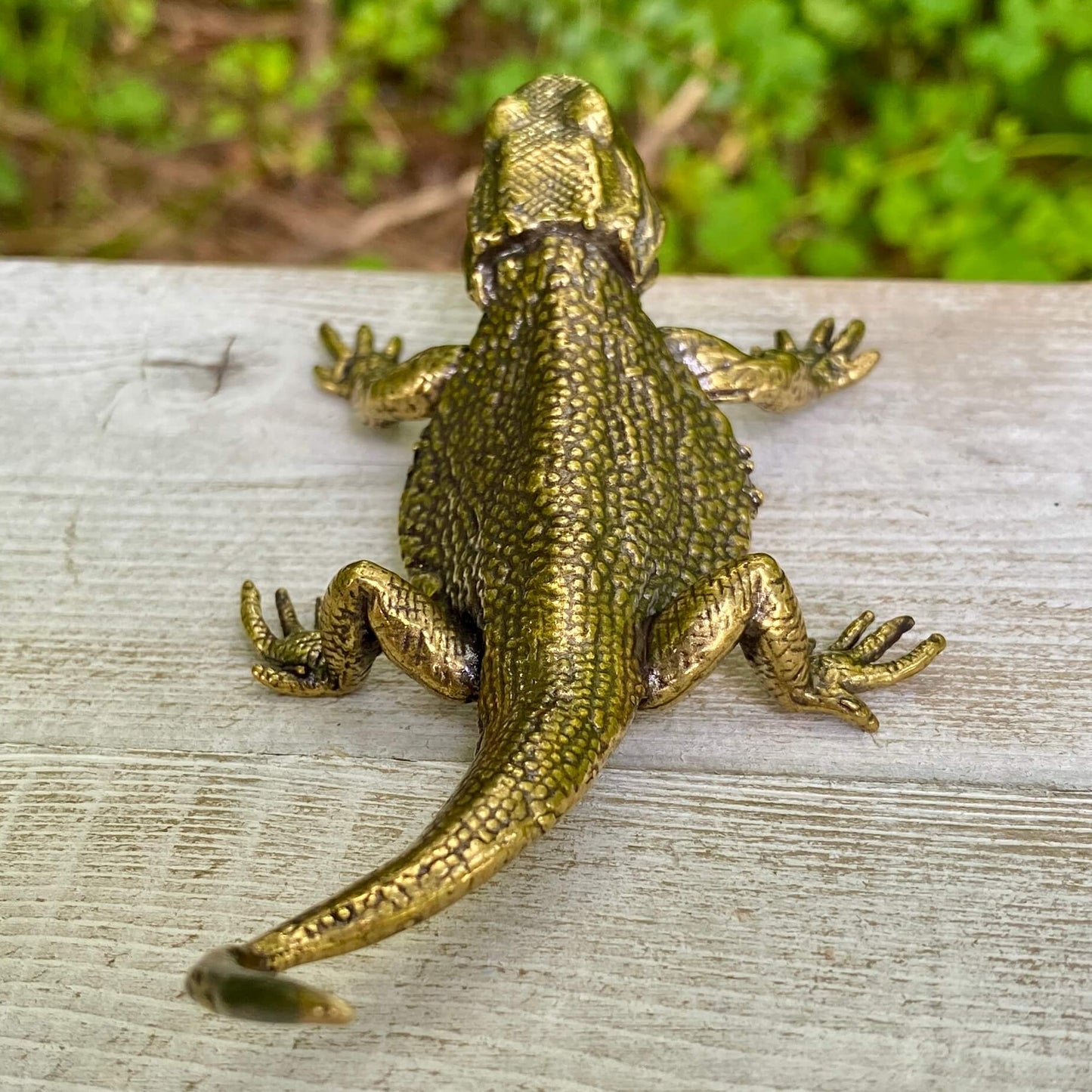 Lizard