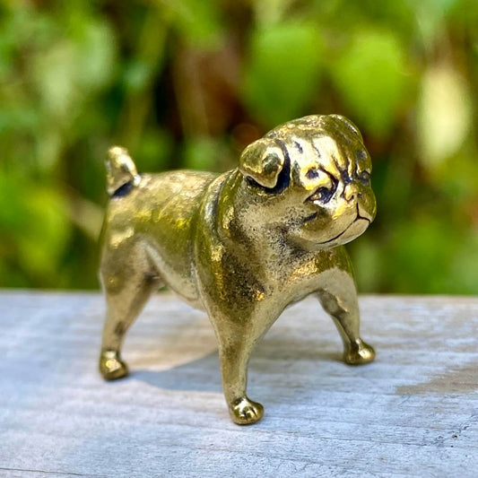 Pug
