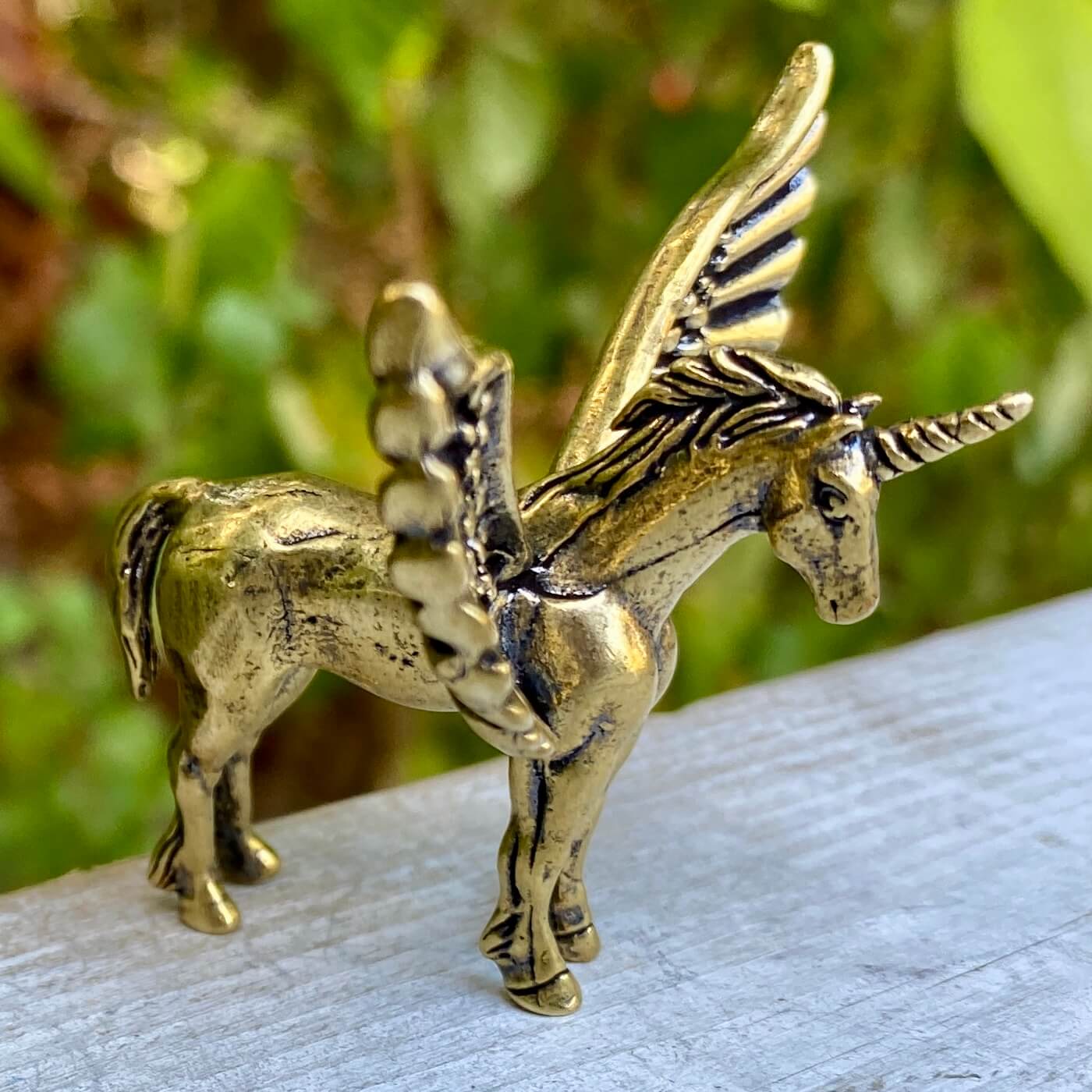 Pegasus