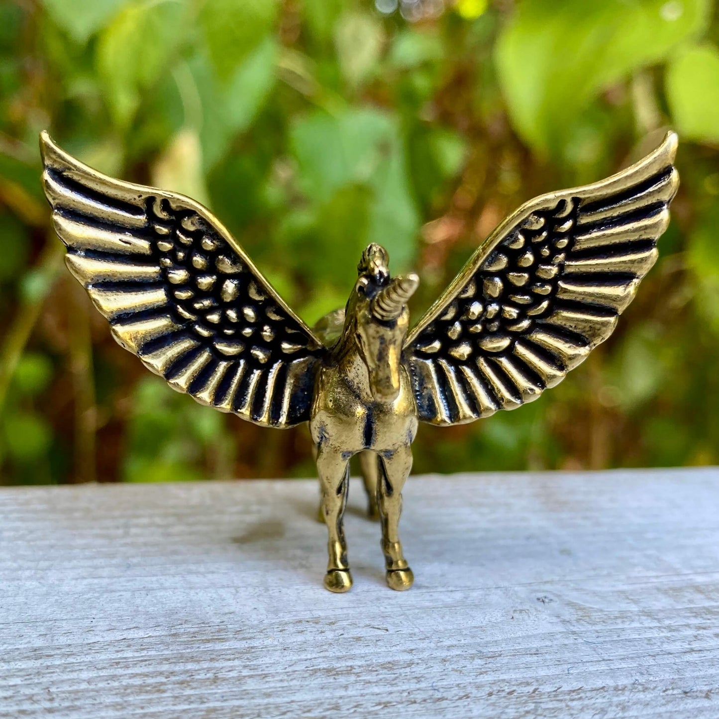Pegasus