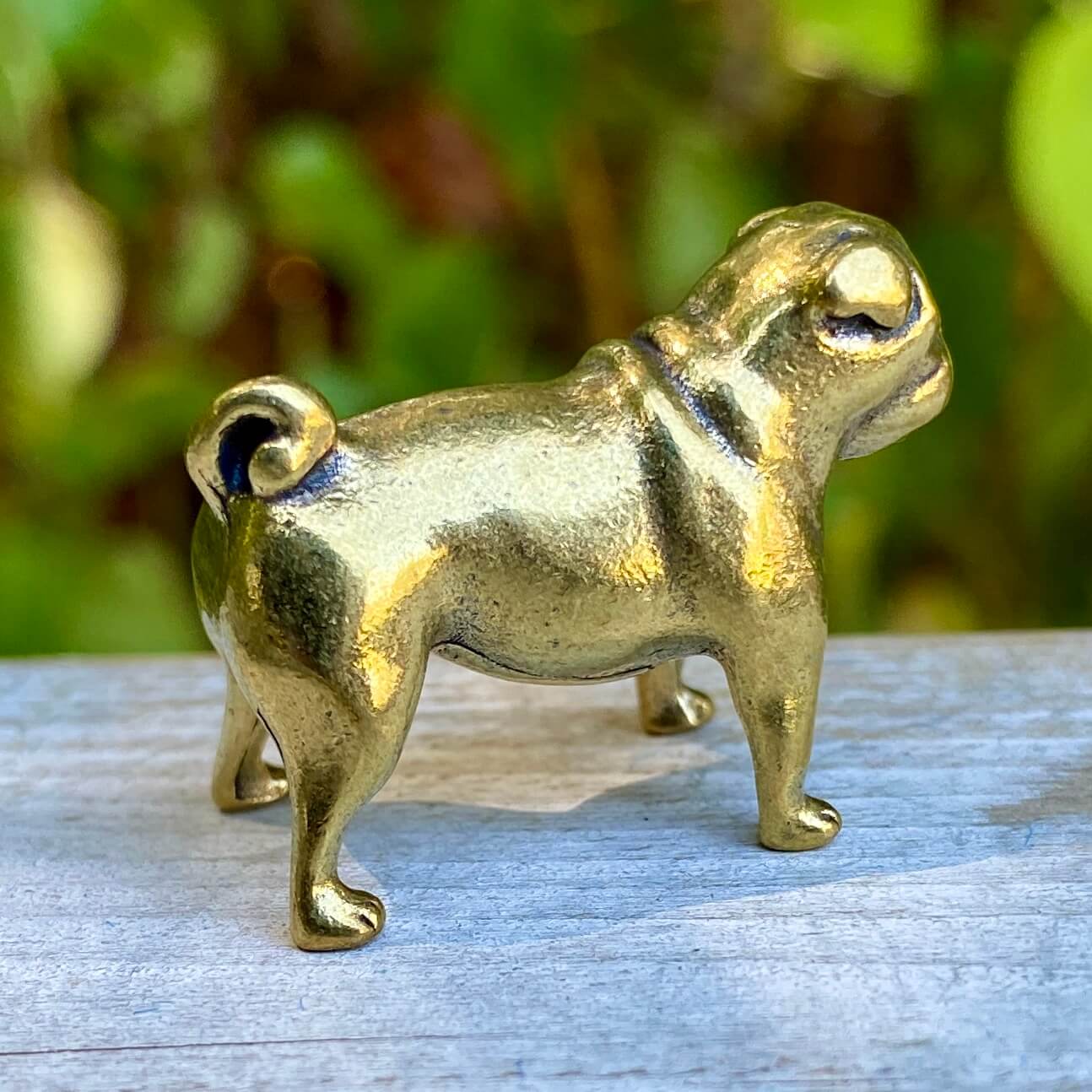 Pug