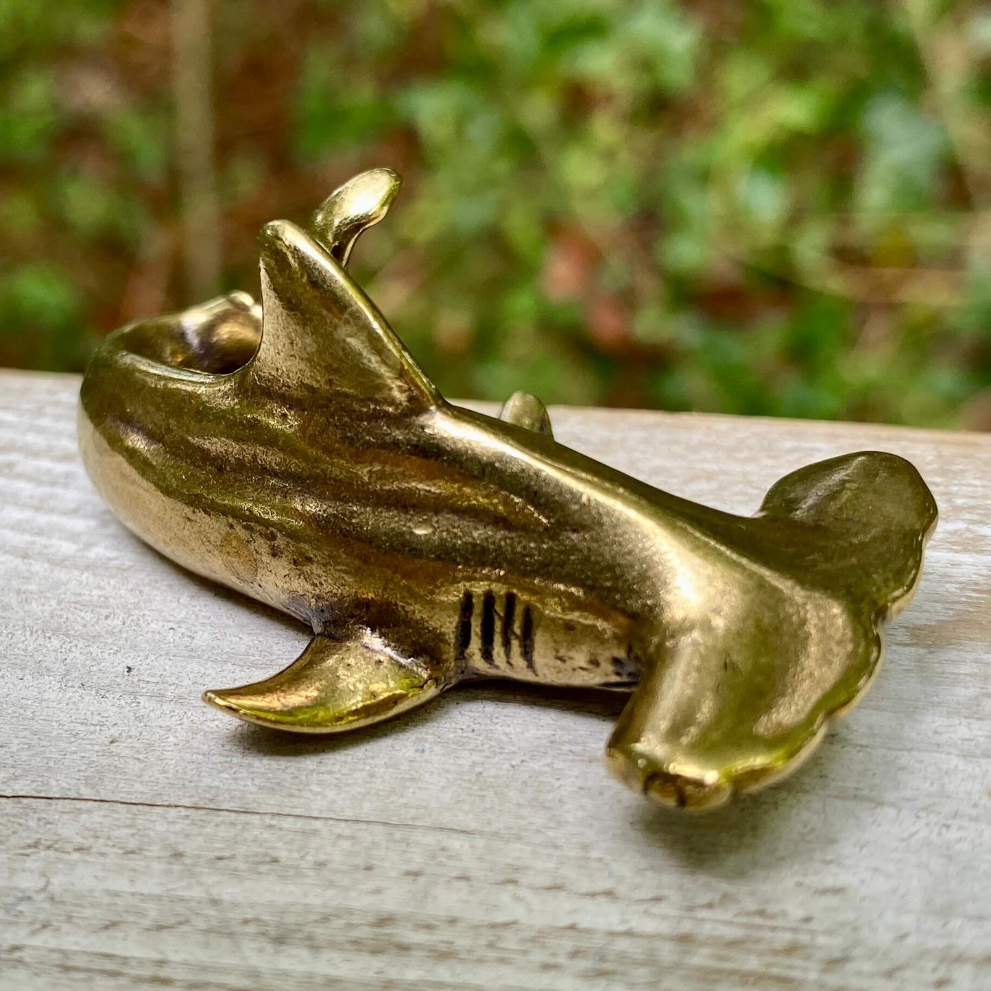 Hammer Head Shark