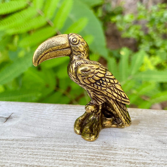 Toucan