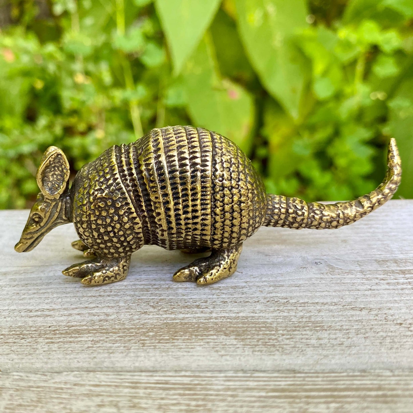 Armadillo - Symbol of Protection, Resilience, and Grounded Energy