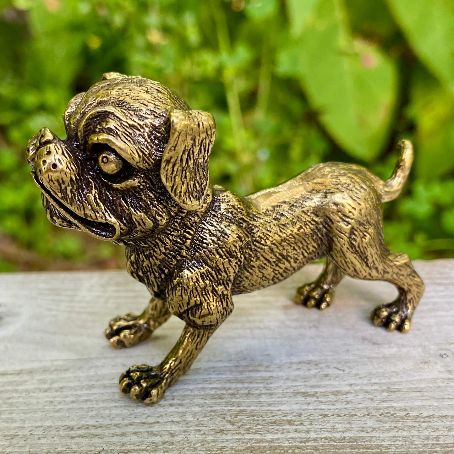 Ugly Pug Dog