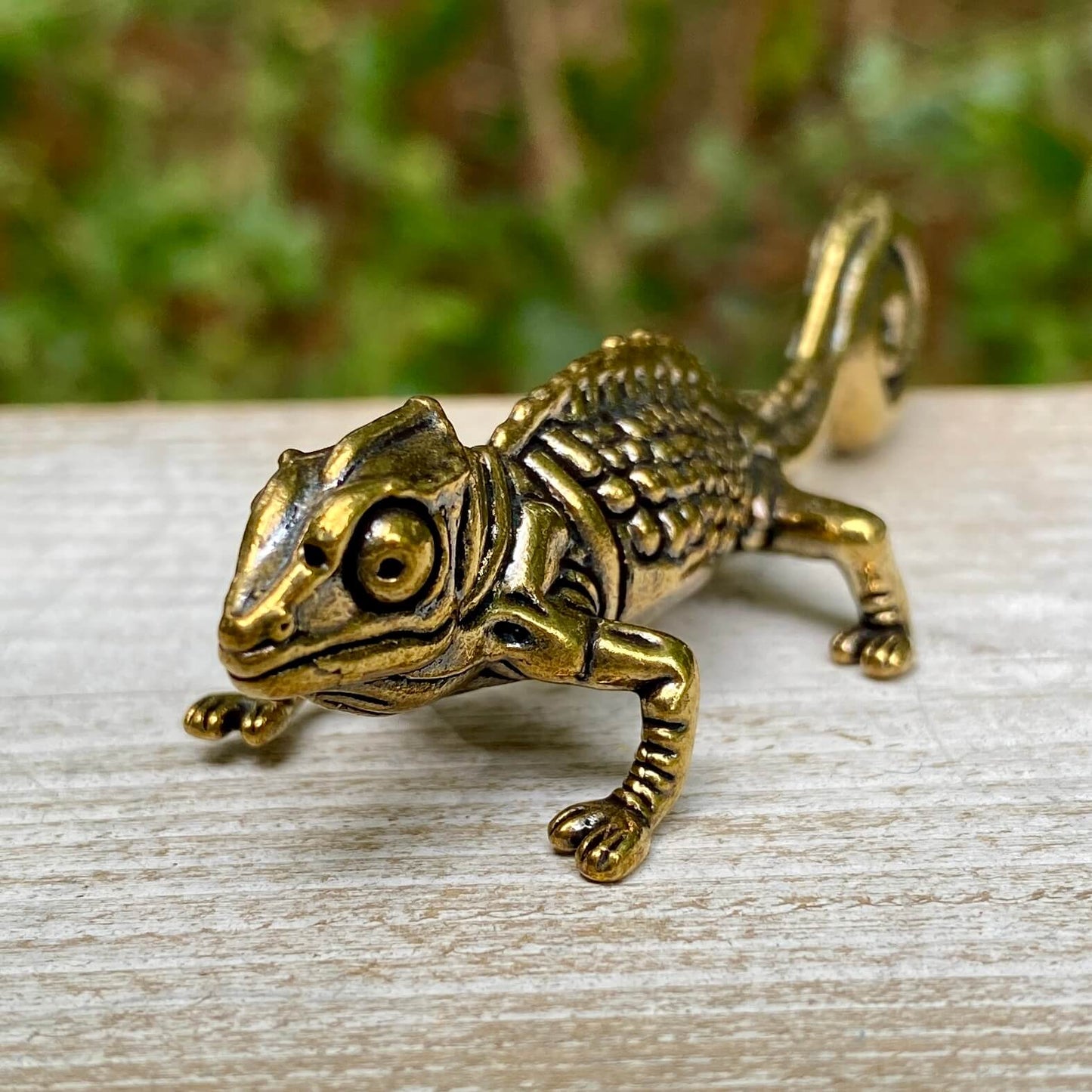 Chameleon