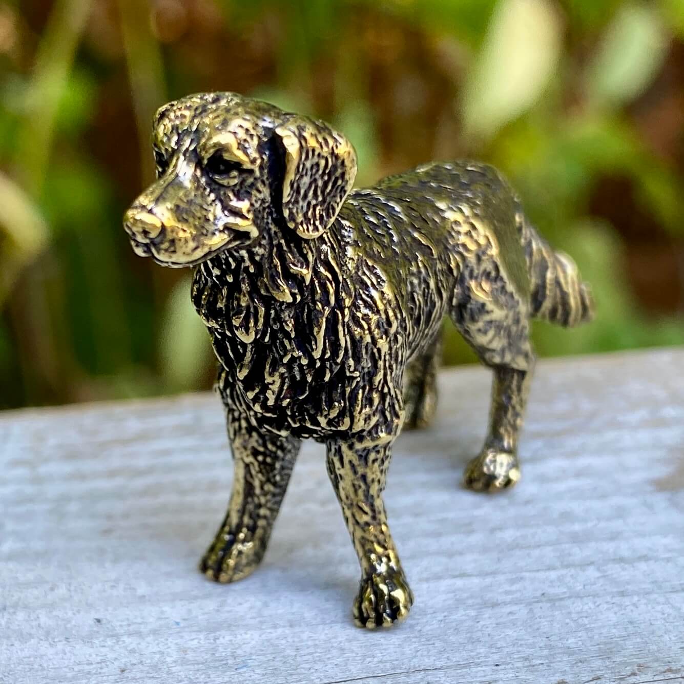 Brass Labrador Retriever