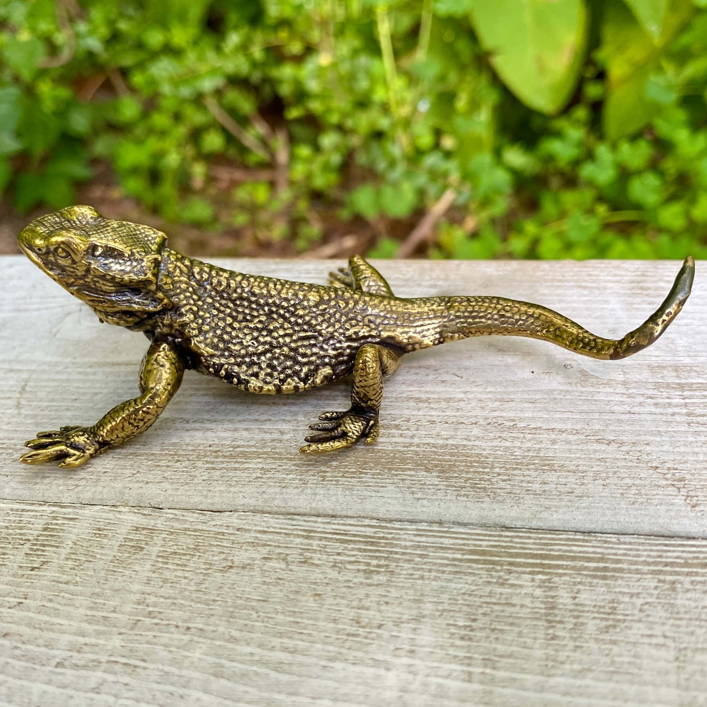 Lizard