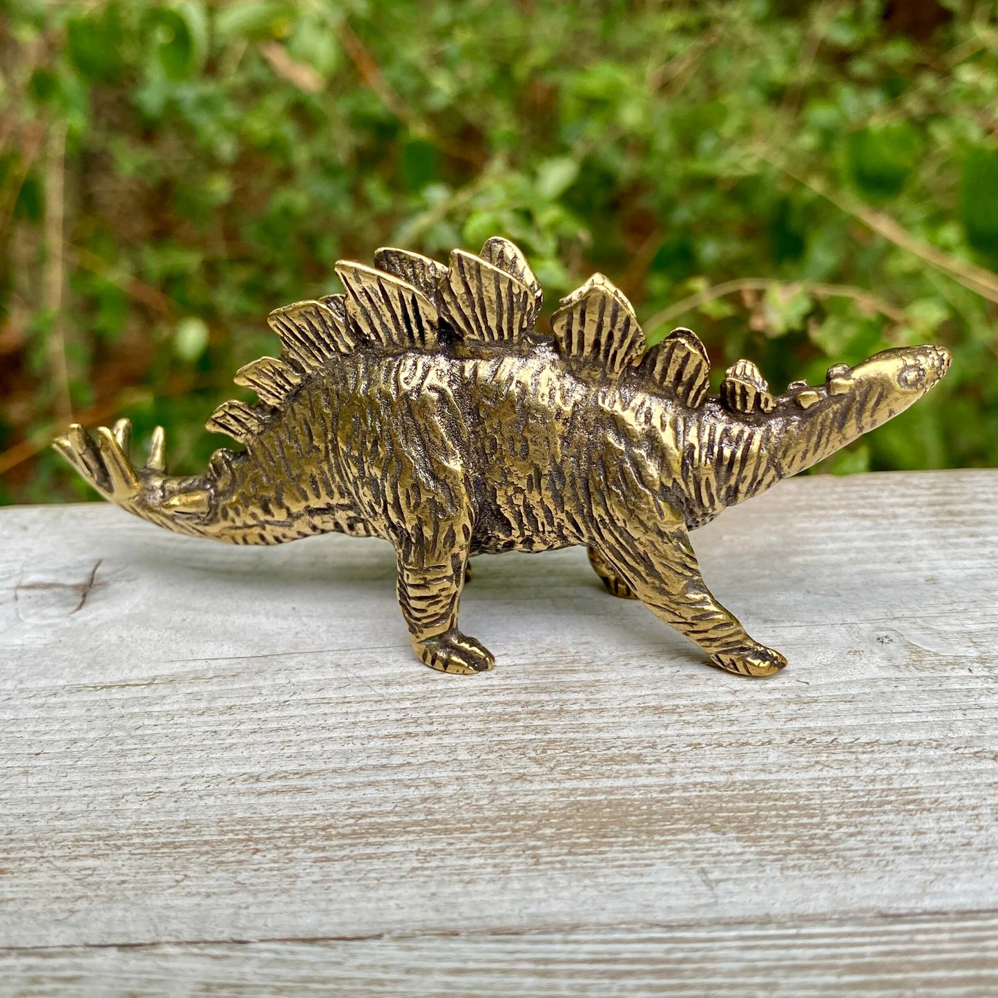 Stegosaurus Dinosaur