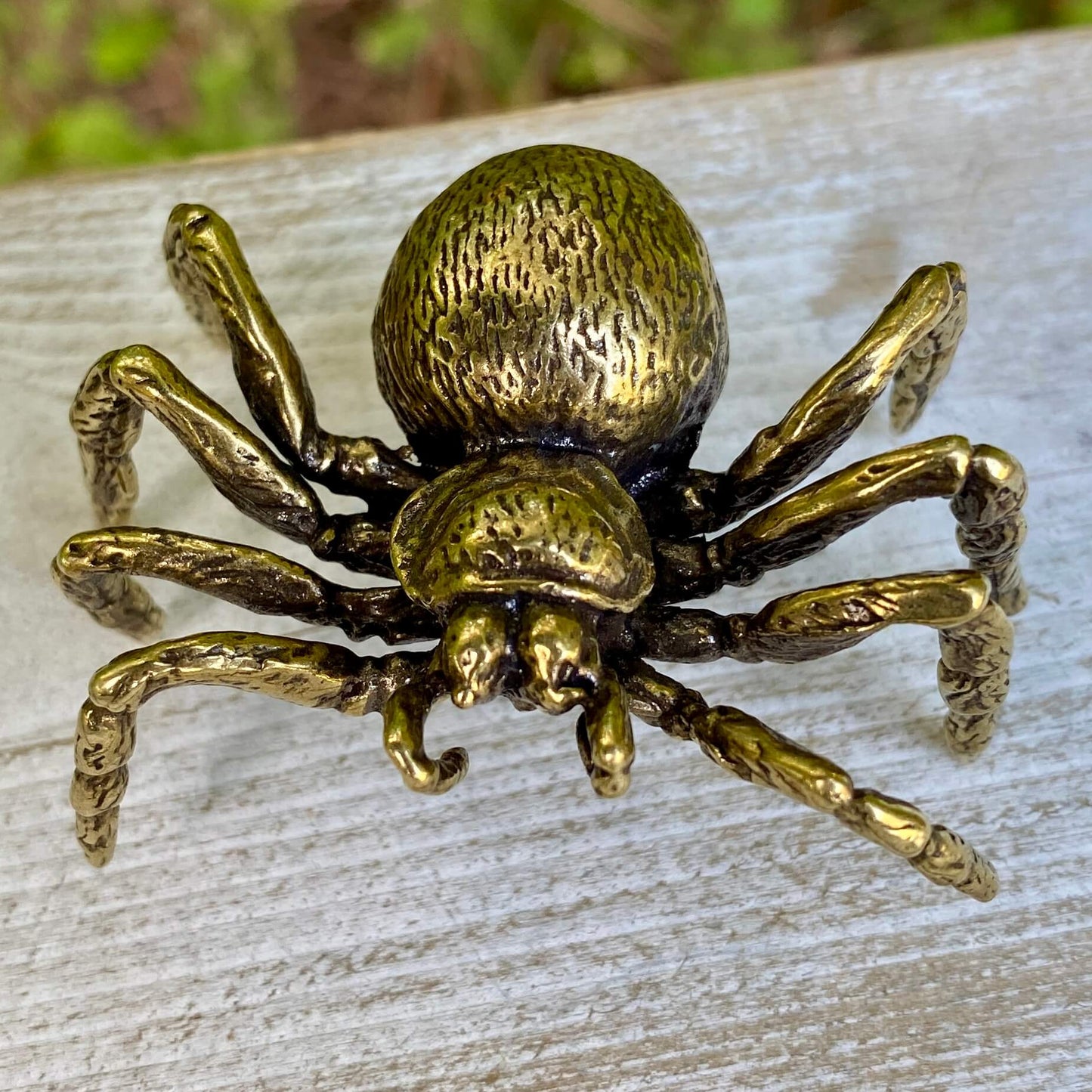 Tarantula