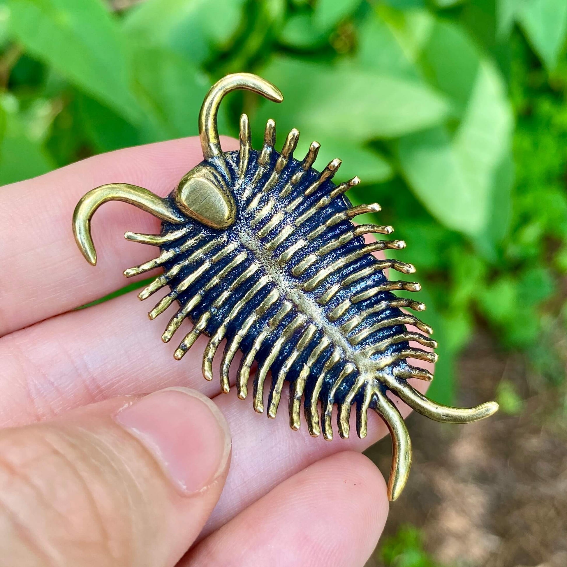 Artisan brass trilobite sculpture based on real fossil anatomy. Perfect for science lovers, fossil collectors, or curiosity cabinets.