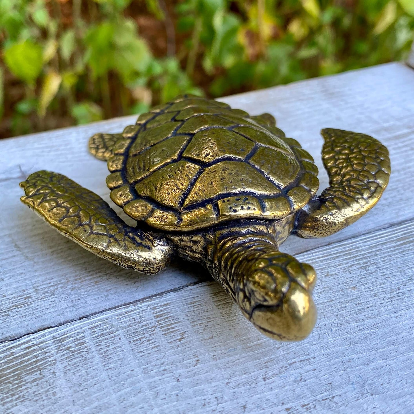 Large Sea turtle