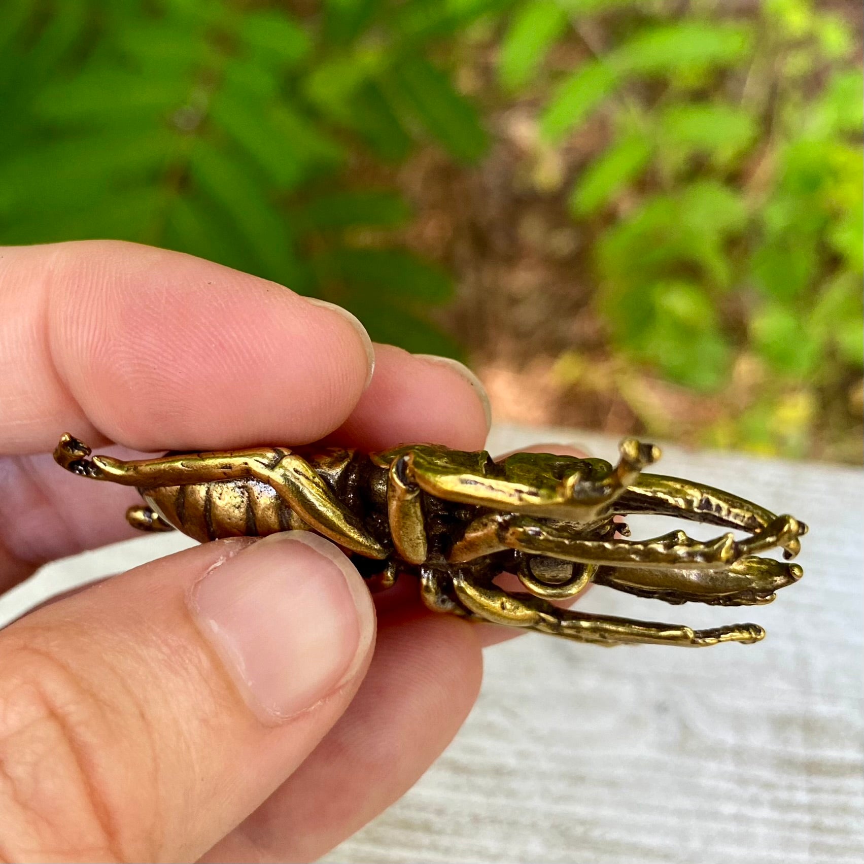 Overhead view of handmade brass stag beetle bug on neutral background