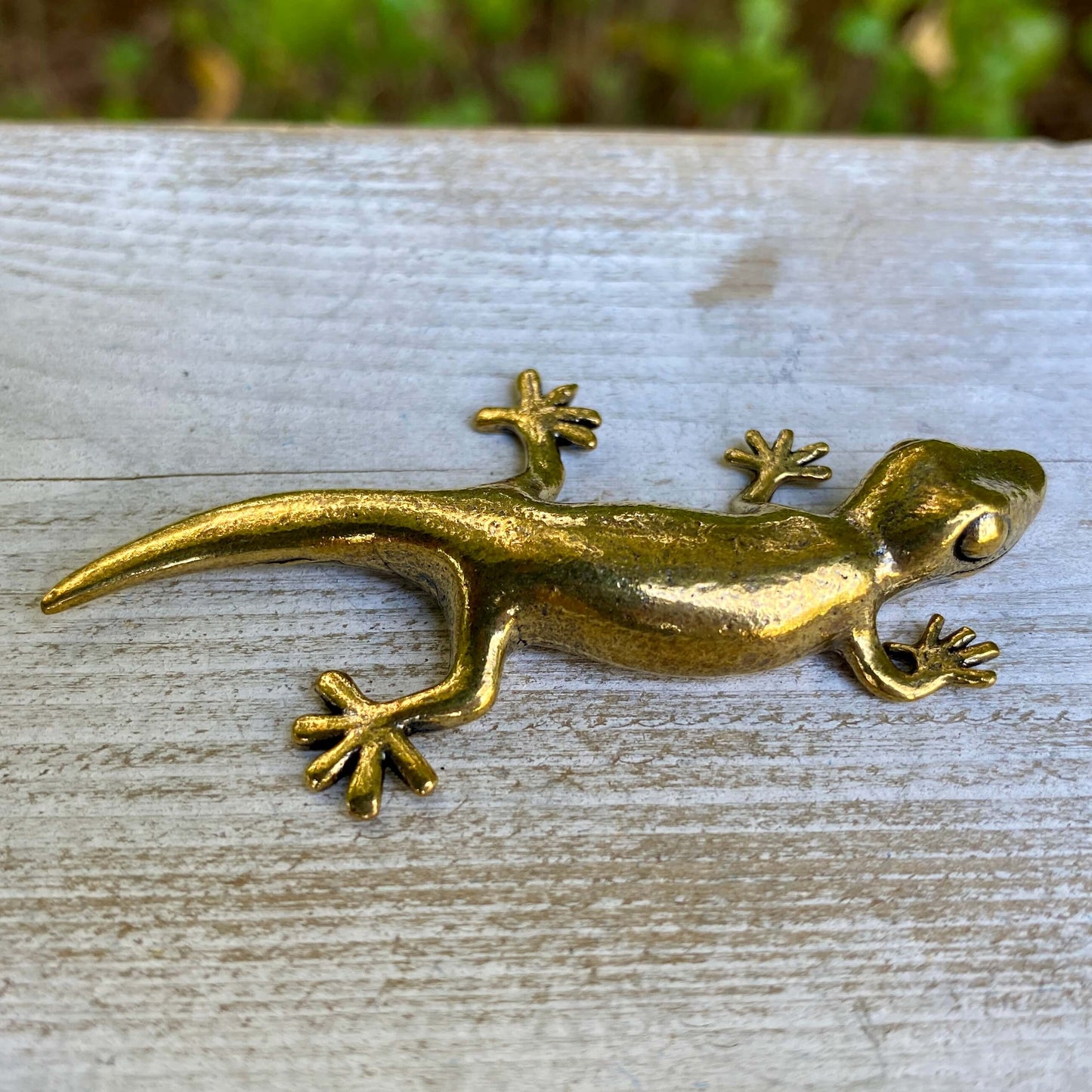Gecko
