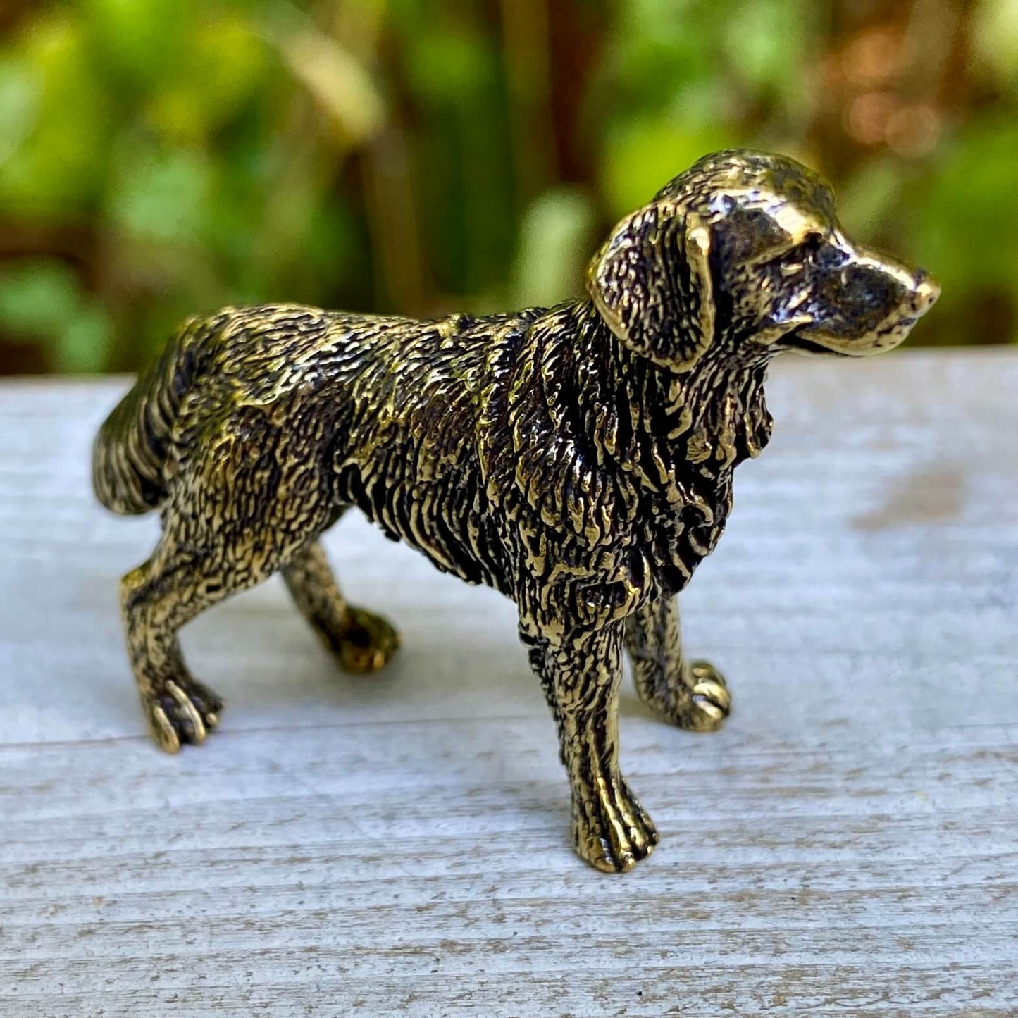 Brass Labrador Retriever