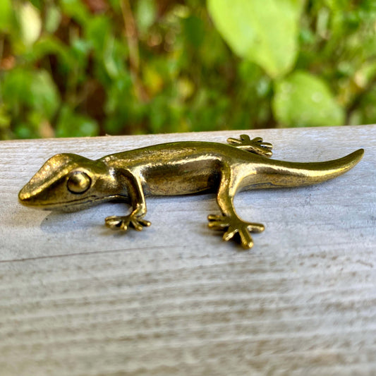 Gecko