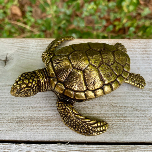 Sea Turtle