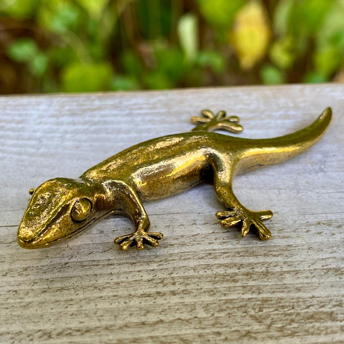 Gecko