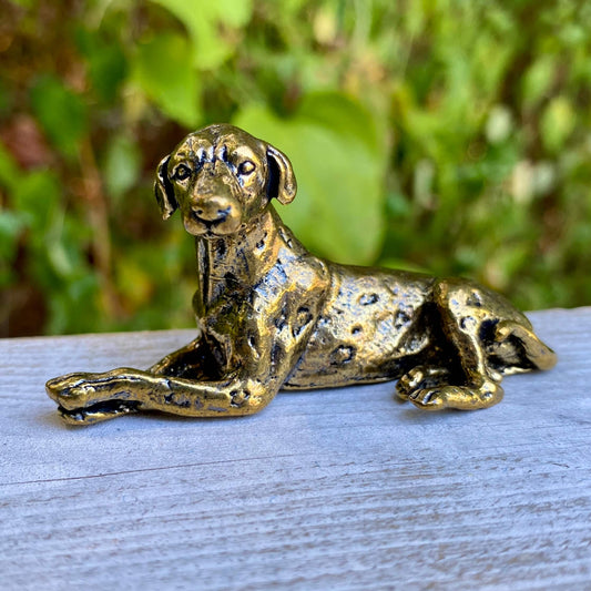 Dalmation