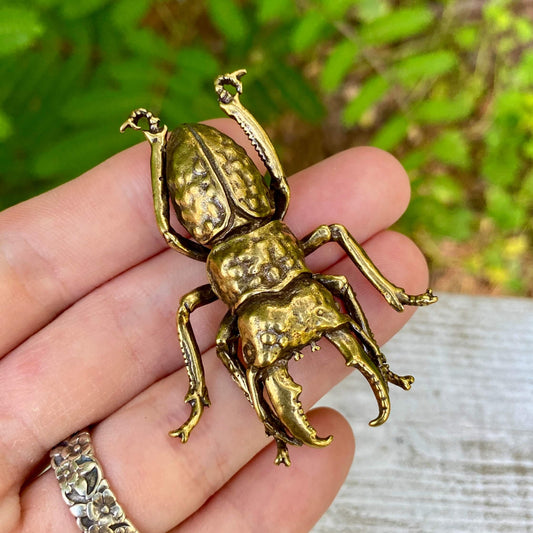Handmade solid brass stag beetle sculpture with detailed mandibles, displayed on a wood surface