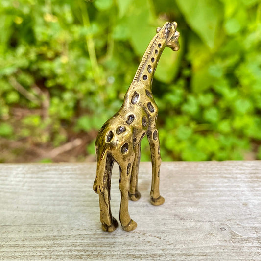 Giraffe - Symbol of Intuition & Power