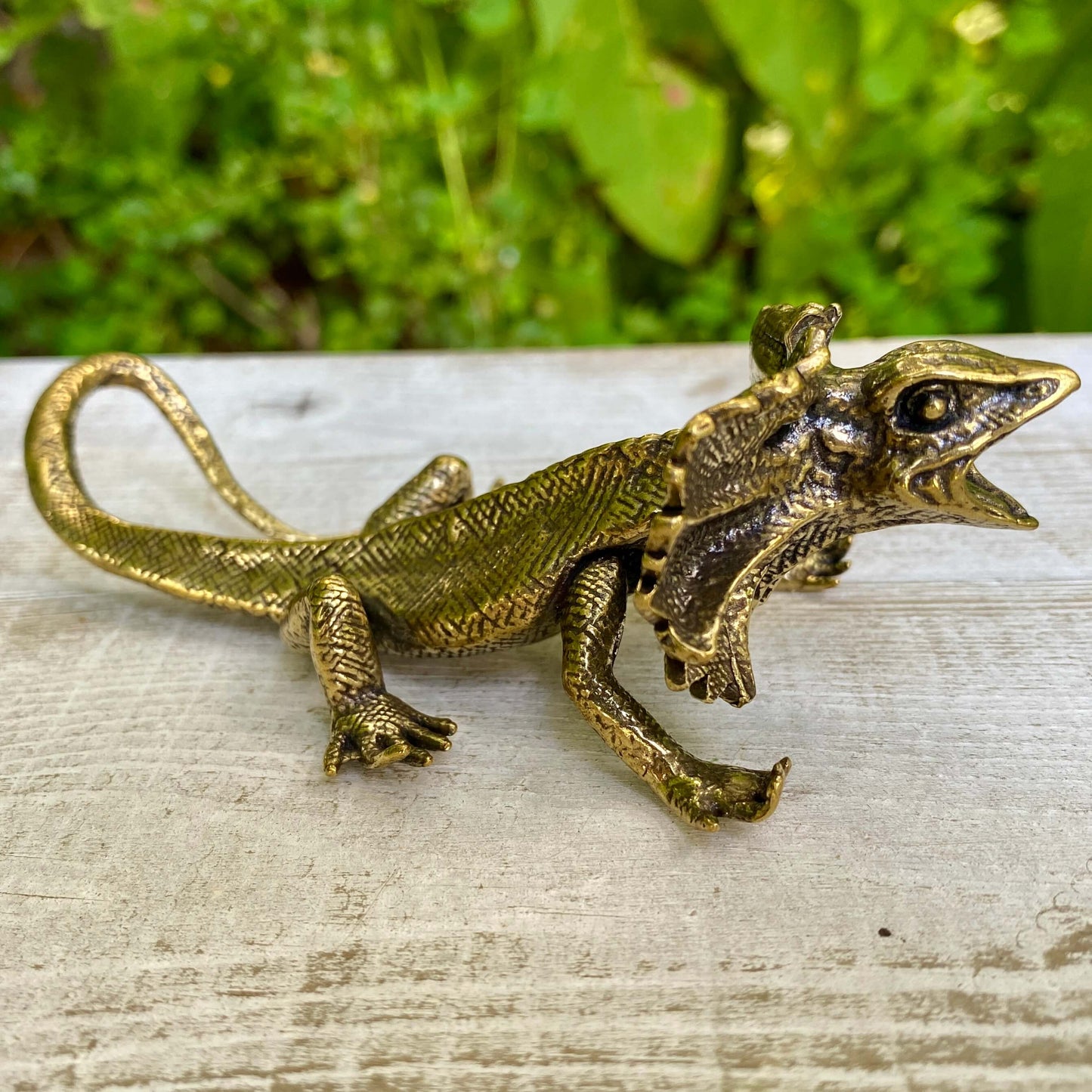 Veiled lizard